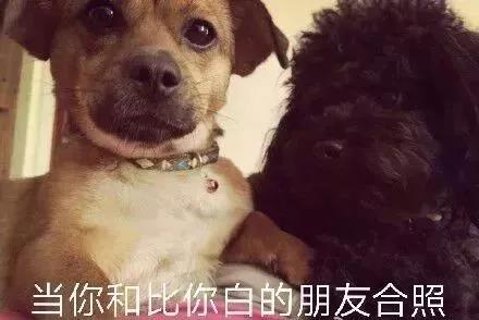 微信图片_20190724180142