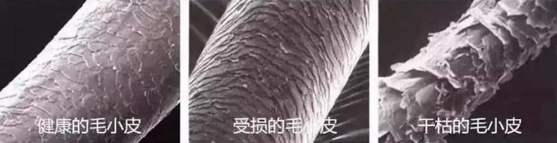 微信图片_20190724180154