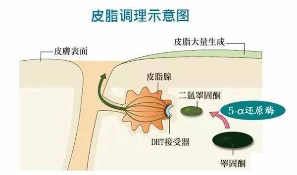 黑奥秘头发理疗中心