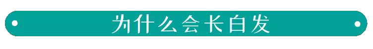 黑奥秘头发理疗
