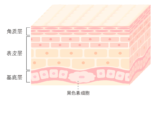 黑奥秘头发理疗