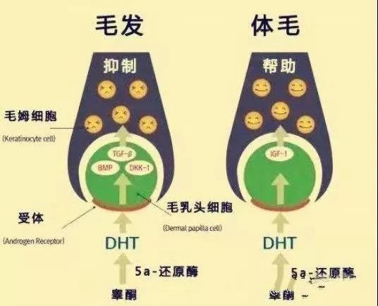微信图片_20191112092055