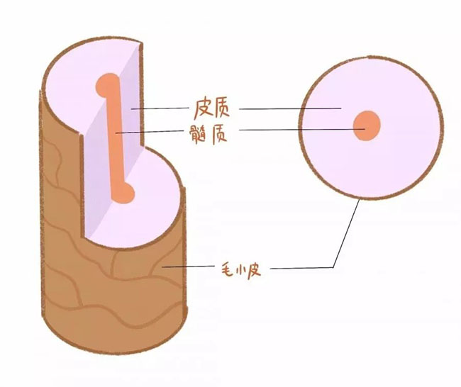 微信图片_20191219094846