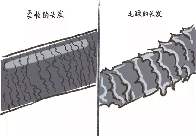 微信图片_20191219094850