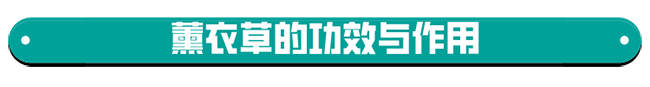 微信图片_20200226114052