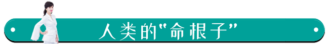 微信图片_20200302100005