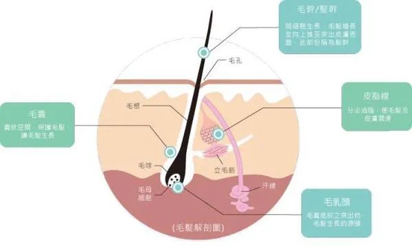 微信图片_20200311131153