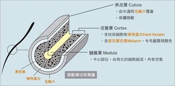 微信图片_20200311131200