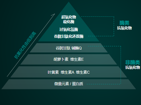 微信图片_20201102161042