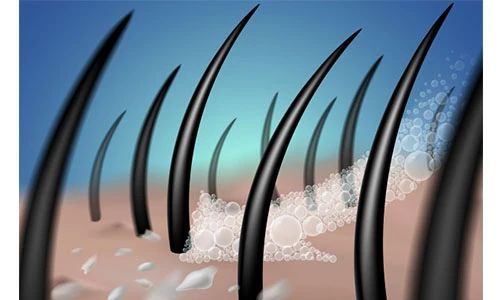 微信图片_20201121110223